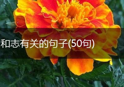和志有关的句子(50句)