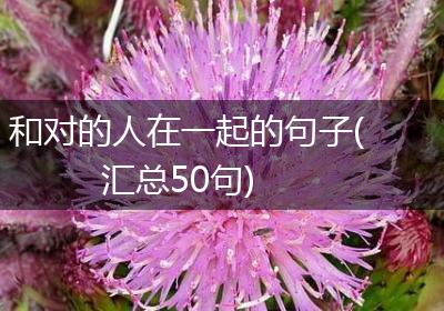 和对的人在一起的句子(汇总50句)