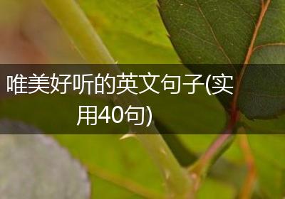 唯美好听的英文句子(实用40句)