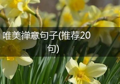 唯美禅意句子(推荐20句)