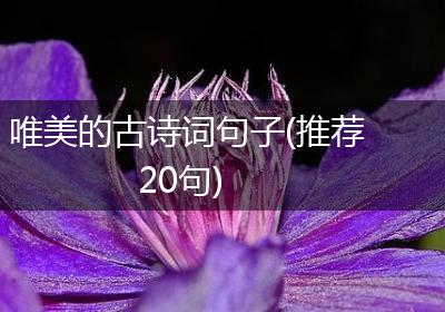 唯美的古诗词句子(推荐20句)