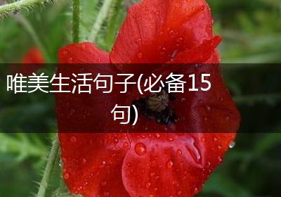 唯美生活句子(必备15句)