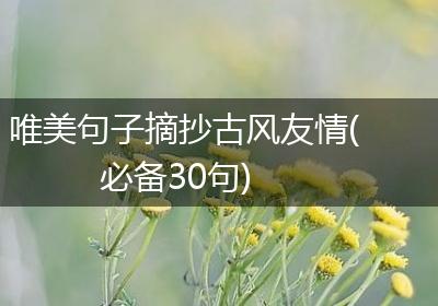 唯美句子摘抄古风友情(必备30句)