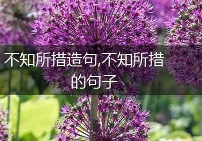 不知所措造句,不知所措的句子