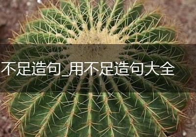 不足造句_用不足造句大全