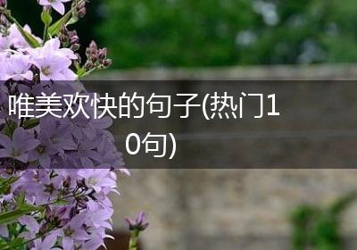 唯美欢快的句子(热门10句)