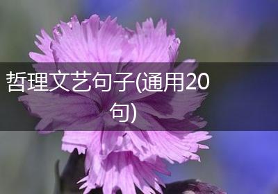 哲理文艺句子(通用20句)