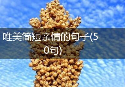 唯美简短亲情的句子(50句)