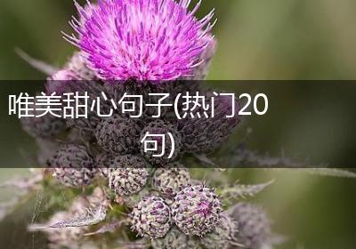 唯美甜心句子(热门20句)