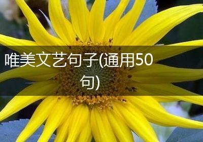唯美文艺句子(通用50句)