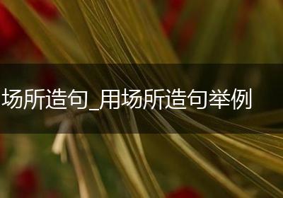 场所造句_用场所造句举例