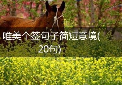 唯美个签句子简短意境(20句)