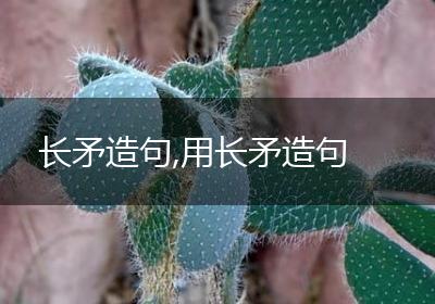 长矛造句,用长矛造句