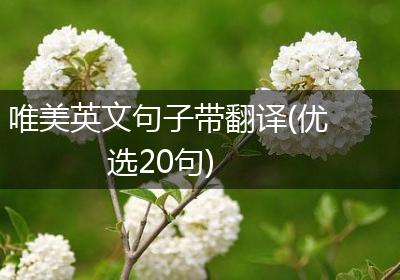 唯美英文句子带翻译(优选20句)