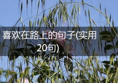 喜欢在路上的句子(实用20句)