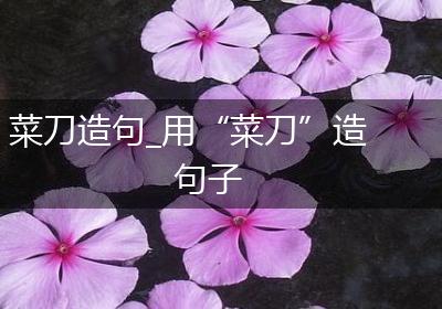 菜刀造句_用“菜刀”造句子