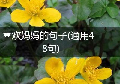 喜欢妈妈的句子(通用48句)