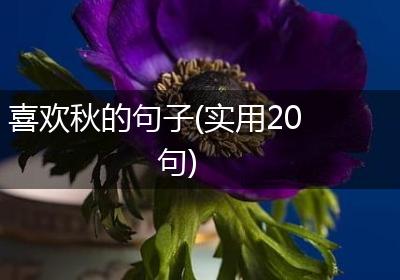 喜欢秋的句子(实用20句)
