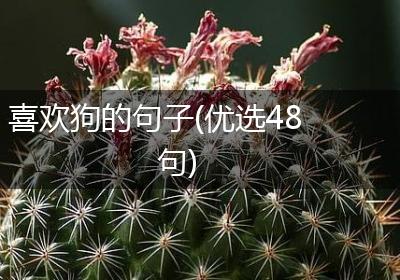 喜欢狗的句子(优选48句)