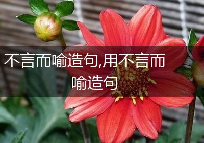 不言而喻造句,用不言而喻造句
