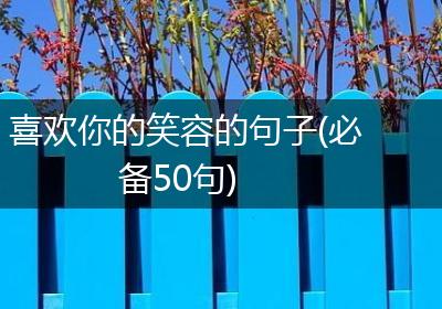 喜欢你的笑容的句子(必备50句)