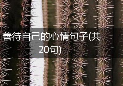 善待自己的心情句子(共20句)