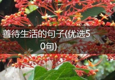 善待生活的句子(优选50句)