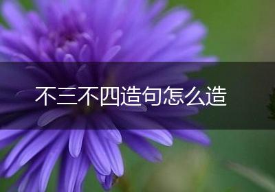 不三不四造句怎么造