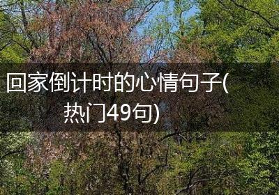 回家倒计时的心情句子(热门49句)