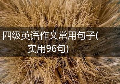 四级英语作文常用句子(实用96句)