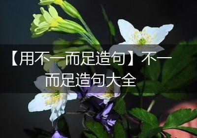 【用不一而足造句】不一而足造句大全