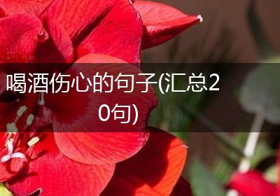 喝酒伤心的句子(汇总20句)