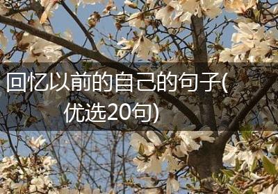 回忆以前的自己的句子(优选20句)