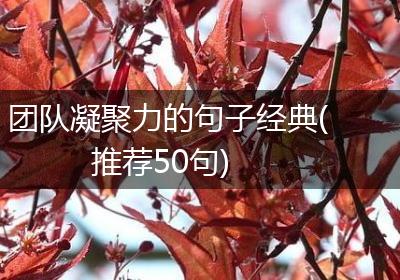 团队凝聚力的句子经典(推荐50句)