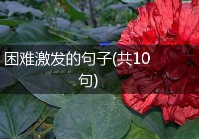 困难激发的句子(共10句)