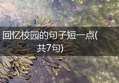 回忆校园的句子短一点(共7句)