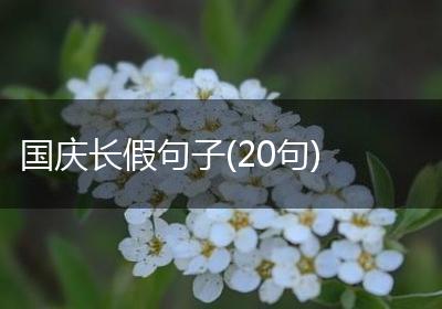 国庆长假句子(20句)