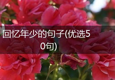 回忆年少的句子(优选50句)