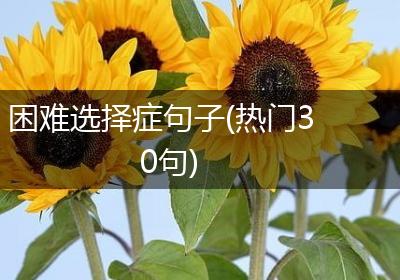 困难选择症句子(热门30句)
