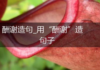 酬谢造句_用“酬谢”造句子