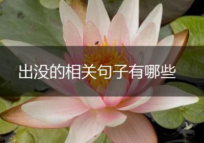 出没的相关句子有哪些