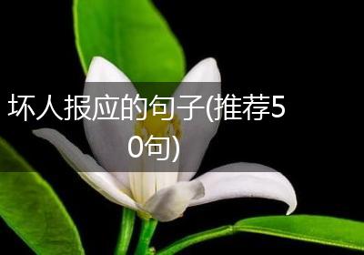 坏人报应的句子(推荐50句)