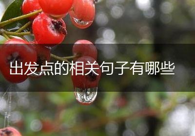 出发点的相关句子有哪些