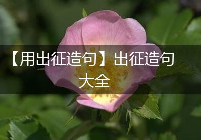 【用出征造句】出征造句大全