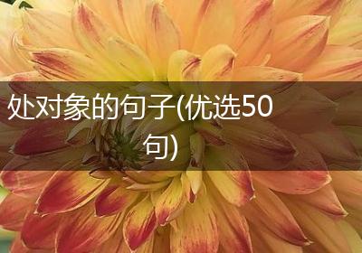 处对象的句子(优选50句)