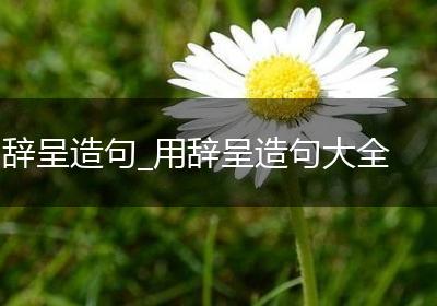 辞呈造句_用辞呈造句大全