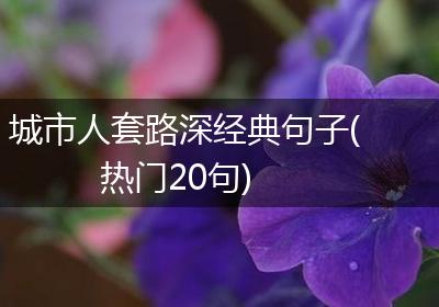 城市人套路深经典句子(热门20句)