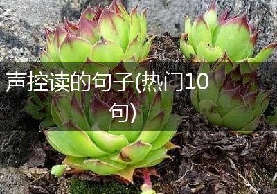 声控读的句子(热门10句)