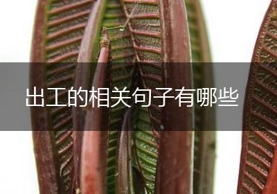出工的相关句子有哪些