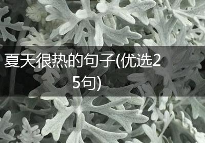 夏天很热的句子(优选25句)